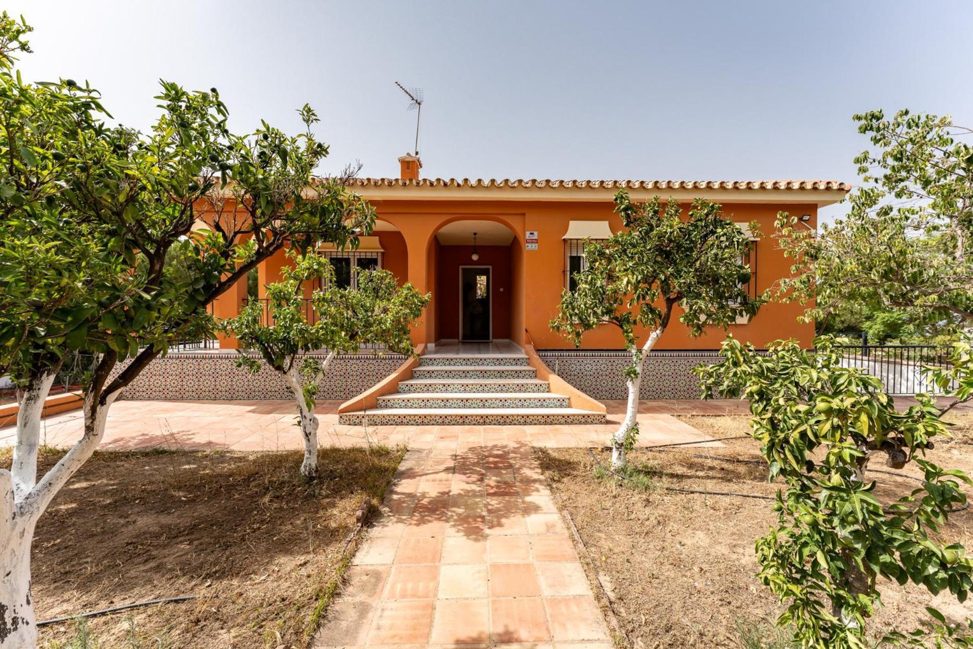 Malagasuite Cortijo Pinos De Alhaurin Holiday home *