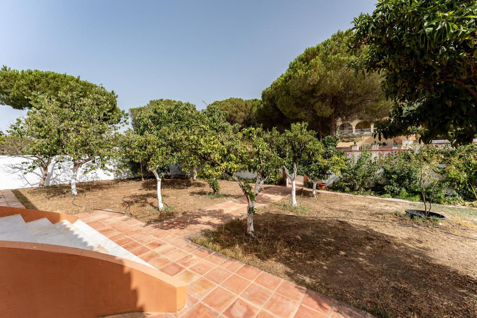Malagasuite Cortijo Pinos De Alhaurin Casa de Férias *